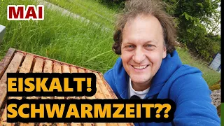 Schwarm trotz Frost und Regen | Durchsicht Bienenvölker | Wann Honig ernten? | Neues aus der Imkerei