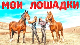 МОИ ЛОШАДКИ! ЛОШАДИ И КРАСИВЫЕ ДУВУШКИ!  О ЧЕМ ДУМАЮТ МУЖЧИНЫ?