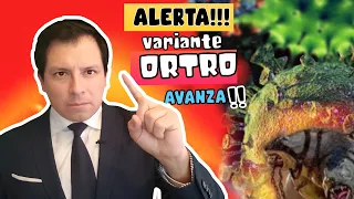 ALERTA⚠️  EXPERTOS ADVIERTEN AVANCE RÁPIDO DE VARIANTE ÓMICRON "ORTRO" A TRAVÉS DE EUROPA !!!