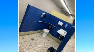 Wer sich auf diese Toilette setzt, kennt keine Angst