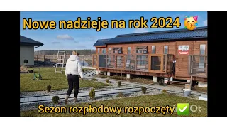 POCZĄTEK NOWEJ HISTORII 🕊 NOWE NADZIEJE NA ROK 2024 ✅️ Gołębie Pocztowe