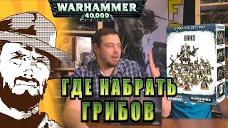 FFH Обзор: Как собрать ORKS. Warhammer