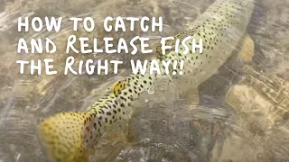 How to Catch and Release Trout Without Accidentally Killing Them