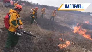 Ликвидация пала трав.