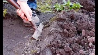 Soltar tierras pesadas - Jardinería