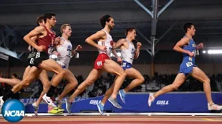 Men's 3000m - 2019 NCAA Indoor Track and Field Championship