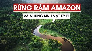 RỪNG RẬM AMAZON VÀ NHỮNG SINH VẬT KỲ BÍ THÁCH THỨC CON NGƯỜI KHÁM PHÁ | ĐỊA LÝ KỲ THÚ #8