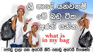 Adam's peak / කාටවත් ඇනයක් නොවෙන්න ගමනක් යනකොට හරියට යන්න | #adamspeak #vlog #inmybag