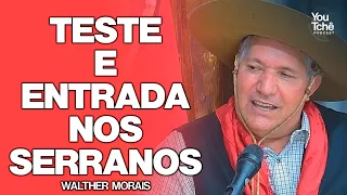 SÓ OS FERAS - WALTHER MORAIS