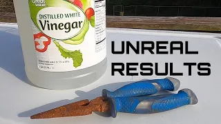 Using Vinegar to EASILY remove rust from any tool