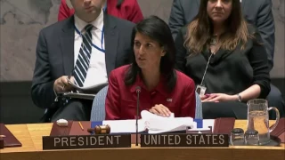 Ambassador Haley Remarks on Syria to the U.N. Security Council