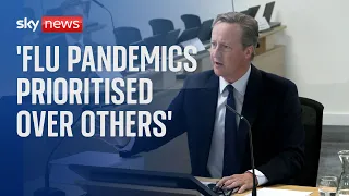 COVID Inquiry: 'Flu pandemics prioritised over others' - Former PM David Cameron
