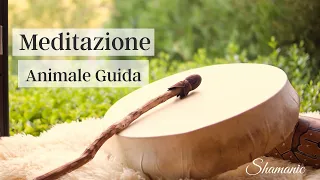 MEDITAZIONE SCIAMANICA - Incontra il Tuo Animale Guida | Guarigione Sciamanica