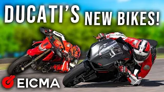 Ducati's best new bikes for 2024: which would you have?