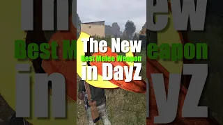 Pumpkin is broken in DayZ.