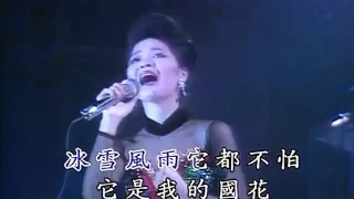 鄧麗君 - 梅花 1984 HD Teresa Teng - Mei Hua with Pinyin Lyrics