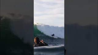 MADNESS AT SHARK ISLAND 💣💣 Sea Blood 🩸  #surfing #bodyboarding