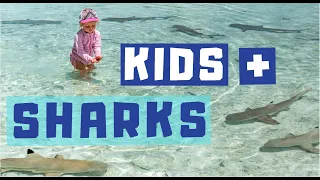 THE REAL BABY SHARK  ||  SWIMMING WITH SHARKS  ||  BORA BORA  || The FUNemployed Family