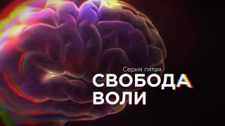 Сериал "Мозг. Вторая Вселенная". Серия 5 - Свобода воли