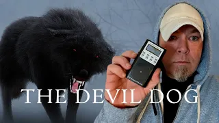 🔴 The DEVIL DOG DEMON Paranormal Nightmare TV S13E3
