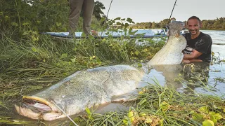 TOP 5 HUGE CATFISH VS SMALL SPINNING ROD - HD by CATFISH WORLD