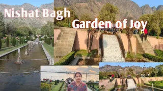 Nishat Bagh | Garden of Joy | Garden of Gladness | Garden of Delight | Srinagar kashmir |