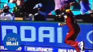 Jerome Taylor saves South African six with one handed catch - Daily Mail