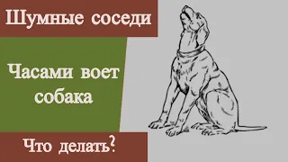 Шумные соседи. Часами лает, воет собака. Что делать?