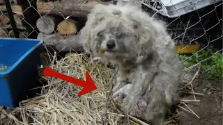 Holding her newly born baby in her arms, she shed tears when she had no milk to feed her baby