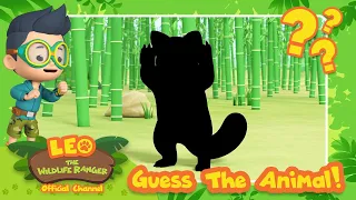 Is that a Pokémon?! 🐻 | Guess the Animal! | BRAND NEW SERIES! | Leo the Wildlife Ranger