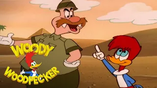 Tomb Exploration | 2 Full Episodes | Woody Woodpecker