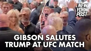 Mel Gibson caught on camera saluting Trump at UFC match | New York Post