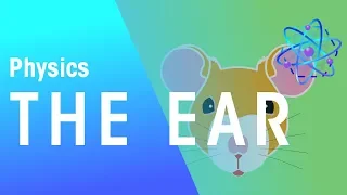 The Ear | Waves | Physics | FuseSchool