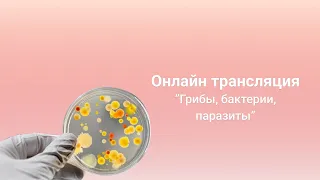 Грибы, вирусы, бактерии, паразиты - психосоматика