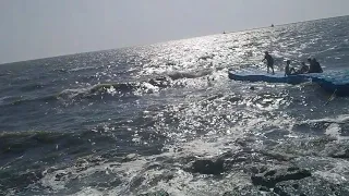Бердянск море сильние волны