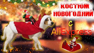 Xmas BUY или DIY🎄 / Повторяю Очень Смешной Новогодний Костюм с AliExpress 🎅