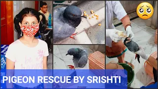 Pigeon Rescue Vlog 🕊 ll Srishti rescued the dying Pigeon took him to hospital ll Heartwarming Video