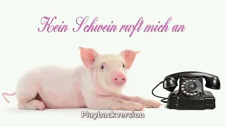 Kein Schwein ruft mich an (Instrumentalversion)