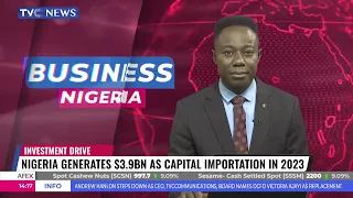 Assessing 2023 Capital Importation, Key Indices