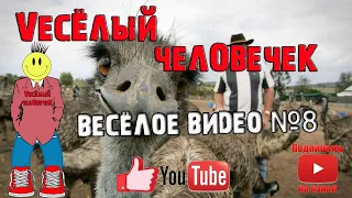 смех до слез, весёлое видео,  приколы 2020, попробуй не засмеяться, ржака, лютые приколы №8