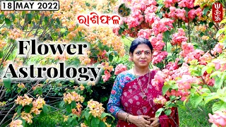 Dr. Jayanti Mohapatra || 18-May-2022 || Flower Astrology || Special Remedies