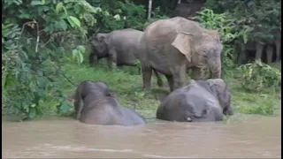 旭山動物園が描く未来2010