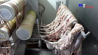 Como as salsichas são produzidas nas fábricas, excelente produção de alimentos e processamento .