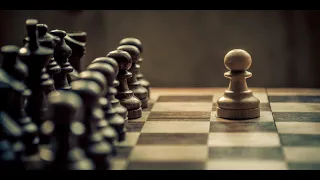 Шахматист