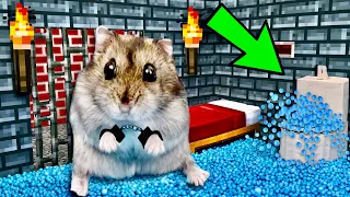 🐹🧨MINECRAFT Hamster Maze with Traps 😱[OBSTACLE COURSE]😱