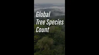 Global Tree Species Count