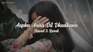Aapka Aana Dil Dhadkana - Slowed & Reverb | Kumar Sanu | Alka Yagnik | Aap Ka Aana 90s Lofi Song