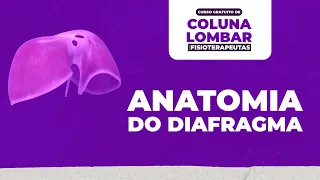 AULA GRÁTIS (Anatomia do diafragma)