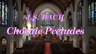 J.S.Bach, Chorale Preludes, BWV 645, BWV 639, BWV 731, BWV 650, BWV 659, BWV 706a, BWV 601, BWV 622