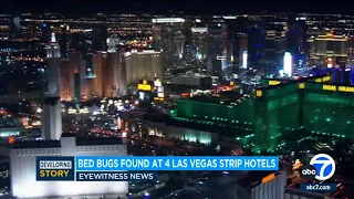 Bed bugs found at 4 popular hotels on Las Vegas Strip